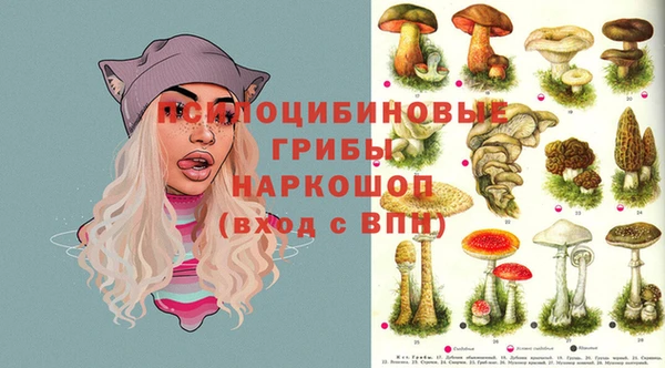 spice Горнозаводск