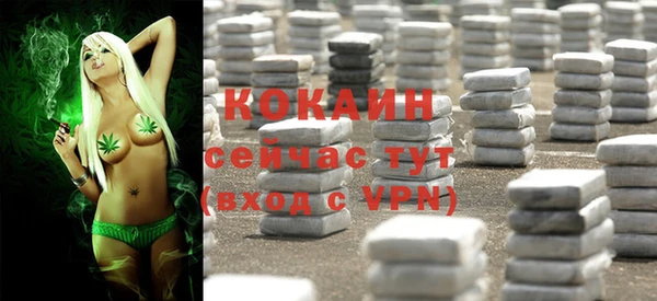 spice Горнозаводск